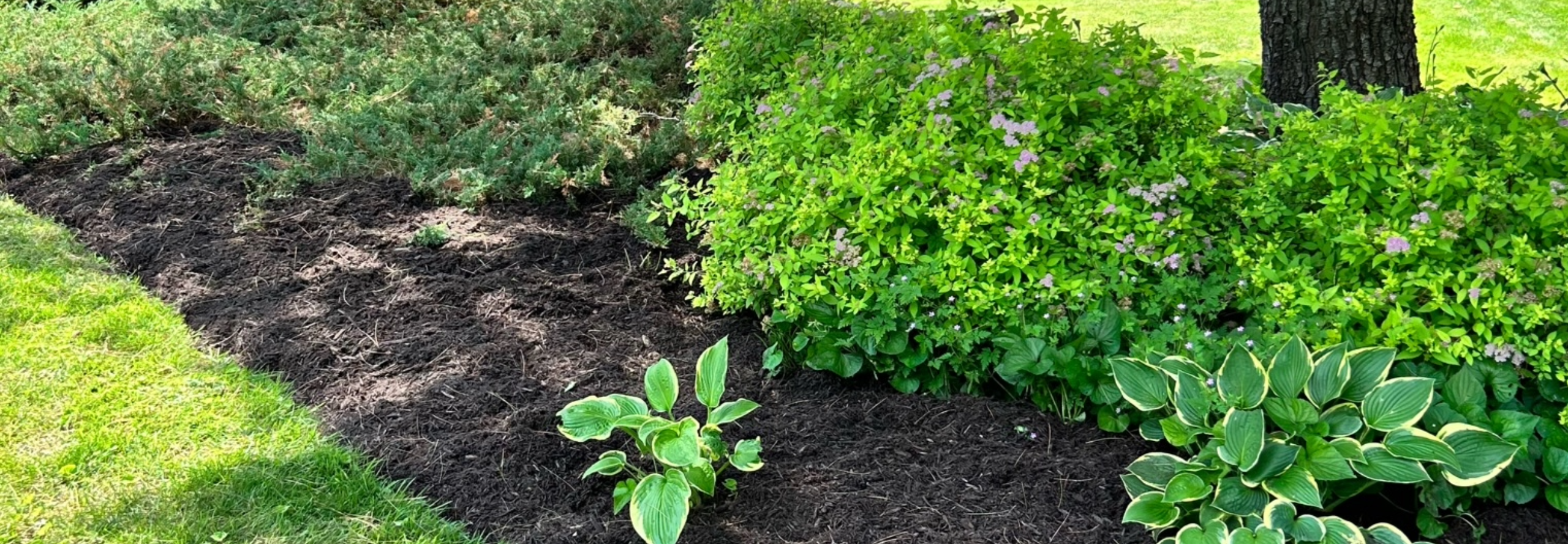 Georgian Edge landscaping project and team work