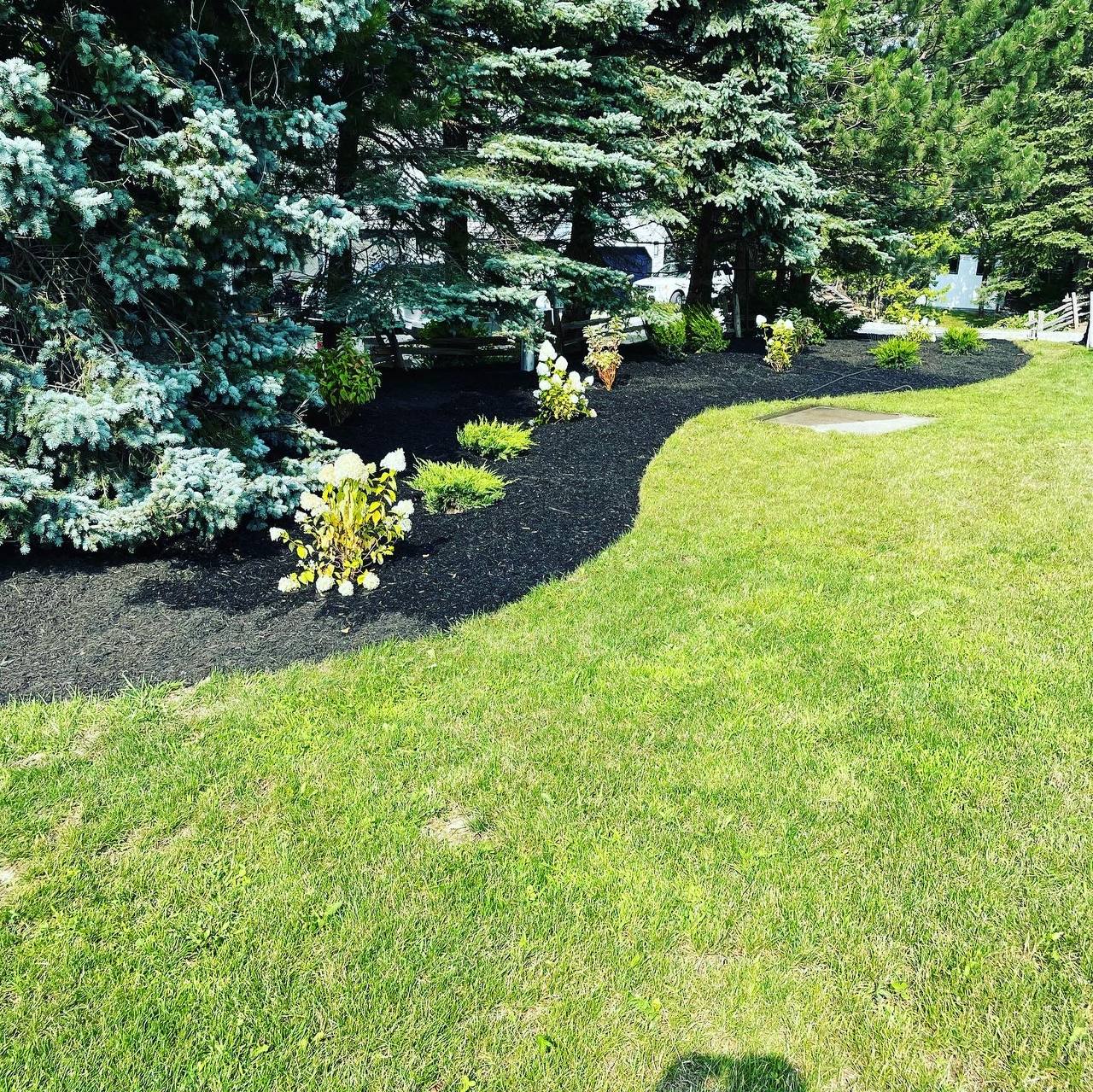 Georgian Edge Inc. garden, landscape, and property care project photo 18