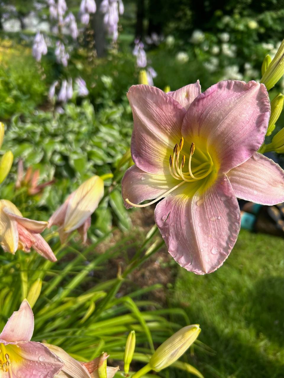 Georgian Edge Inc. garden, landscape, and property care project photo 21