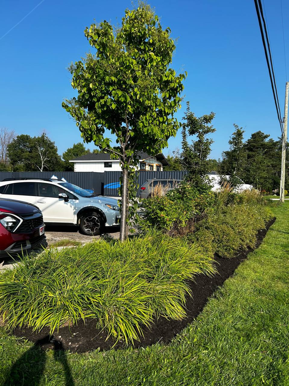 Georgian Edge Inc. garden, landscape, and property care project photo 27