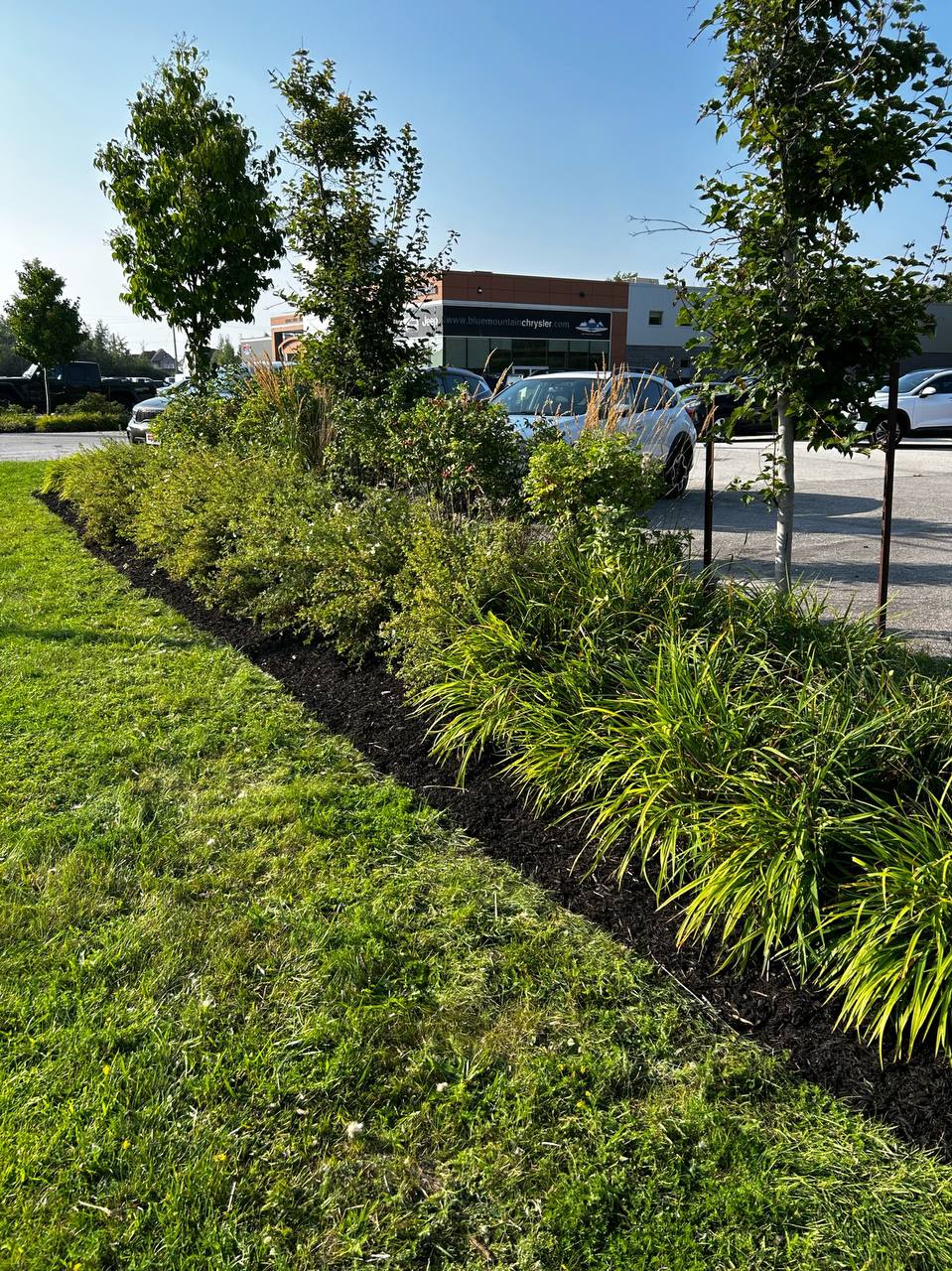 Georgian Edge Inc. garden, landscape, and property care project photo 28
