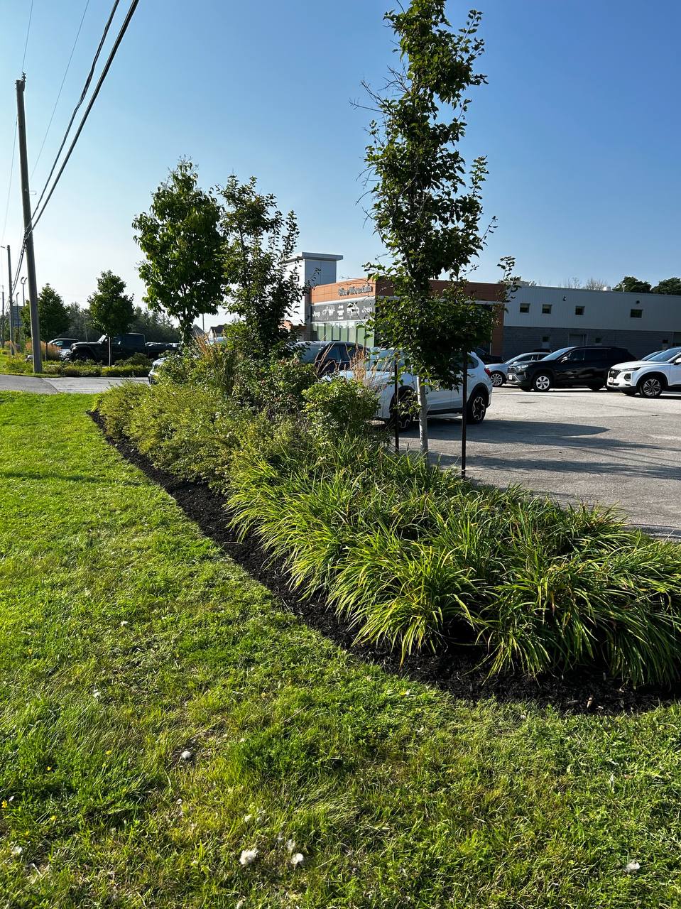Georgian Edge Inc. garden, landscape, and property care project photo 29