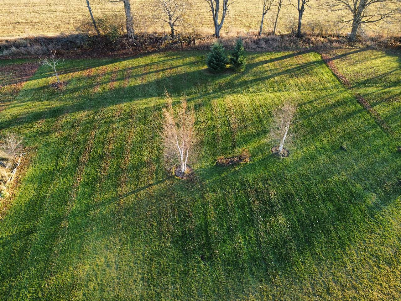 Georgian Edge Inc. garden, landscape, and property care project photo 32