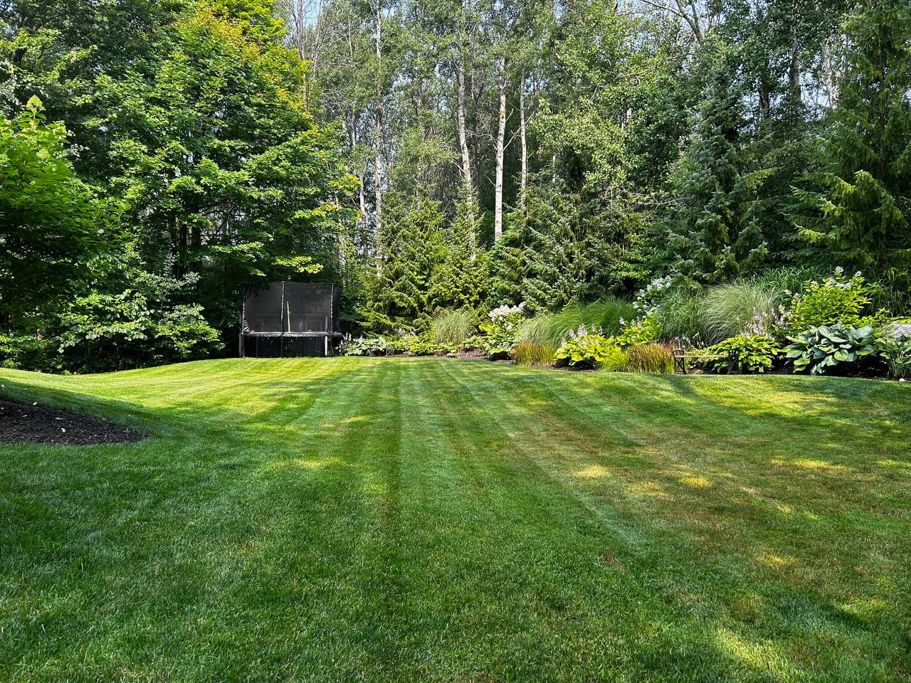 Georgian Edge Inc. garden, landscape, and property care project photo 37